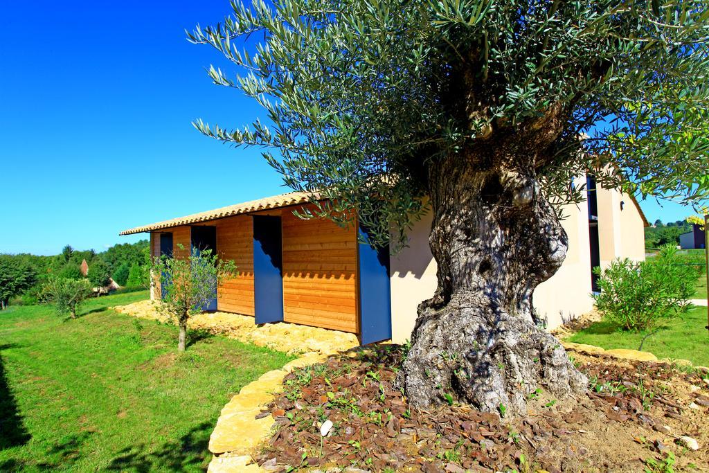 The Originals City, Hotel Albizia, Sarlat-la-Canéda Kültér fotó